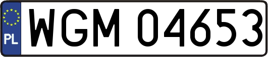 WGM04653