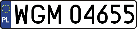 WGM04655