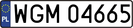 WGM04665