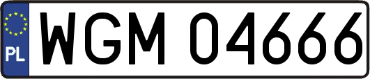 WGM04666