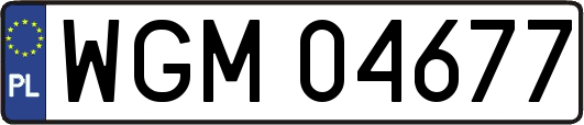 WGM04677