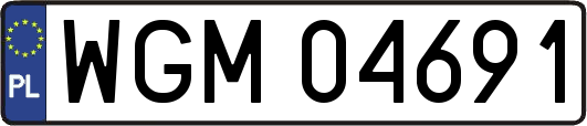 WGM04691