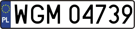 WGM04739