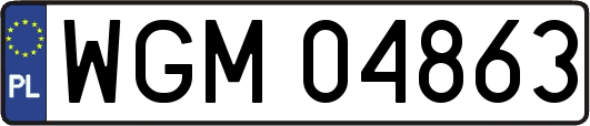 WGM04863