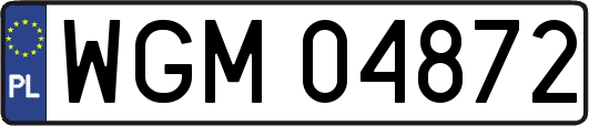 WGM04872