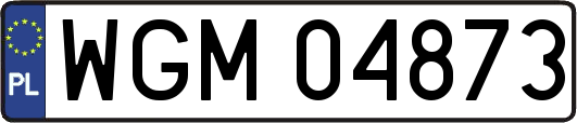 WGM04873