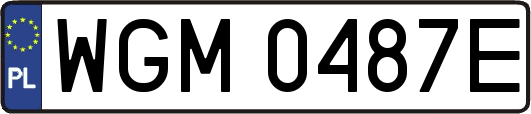 WGM0487E