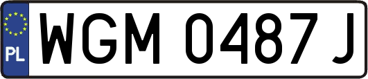 WGM0487J
