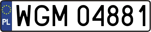 WGM04881