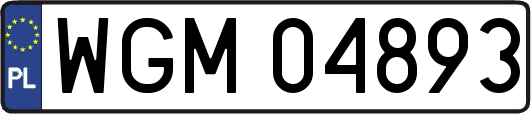 WGM04893