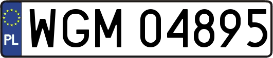 WGM04895