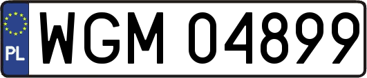 WGM04899