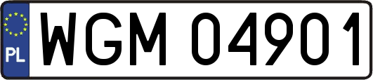 WGM04901