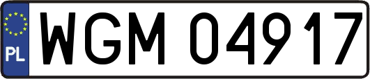 WGM04917