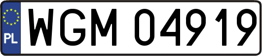 WGM04919