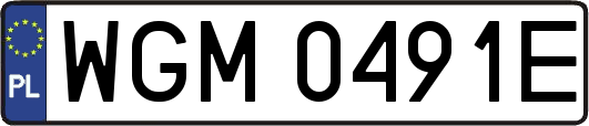 WGM0491E