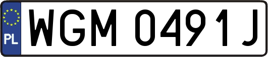 WGM0491J