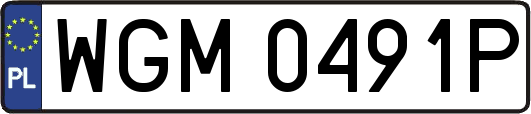 WGM0491P
