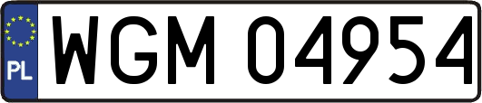 WGM04954