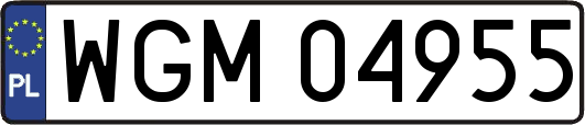 WGM04955