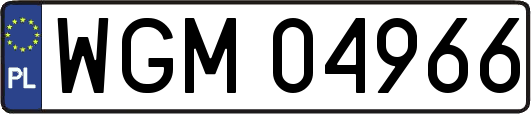 WGM04966