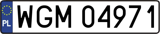 WGM04971
