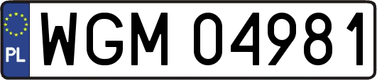 WGM04981