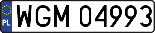 WGM04993