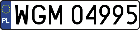 WGM04995