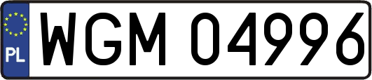 WGM04996