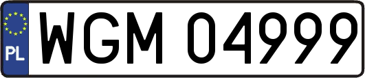 WGM04999