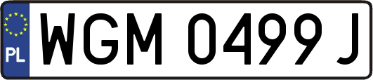 WGM0499J