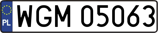 WGM05063