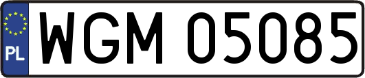 WGM05085