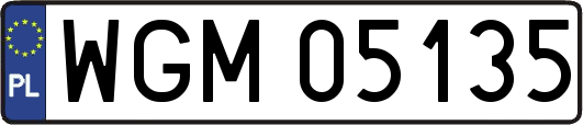 WGM05135