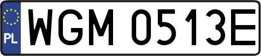 WGM0513E