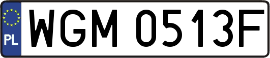WGM0513F