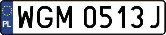 WGM0513J