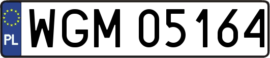 WGM05164