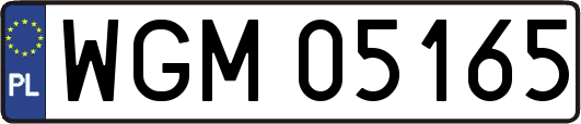 WGM05165
