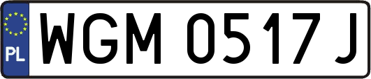 WGM0517J
