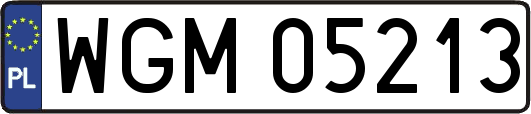 WGM05213