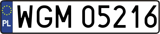 WGM05216