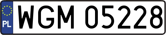 WGM05228