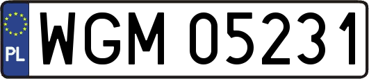 WGM05231