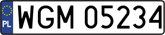 WGM05234