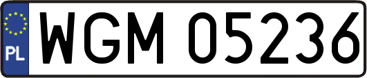 WGM05236