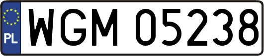 WGM05238