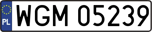 WGM05239