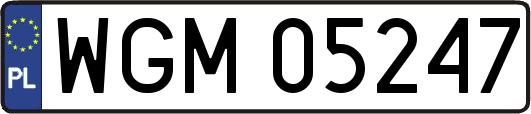 WGM05247